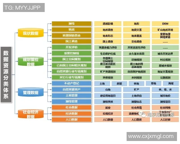 南京排球队近期状态分析与表现评估探讨