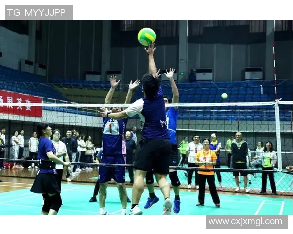 重庆排球队技术争议引发热议球迷与专家各抒己见探讨未来发展方向