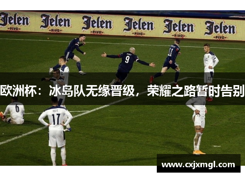 欧洲杯：冰岛队无缘晋级，荣耀之路暂时告别