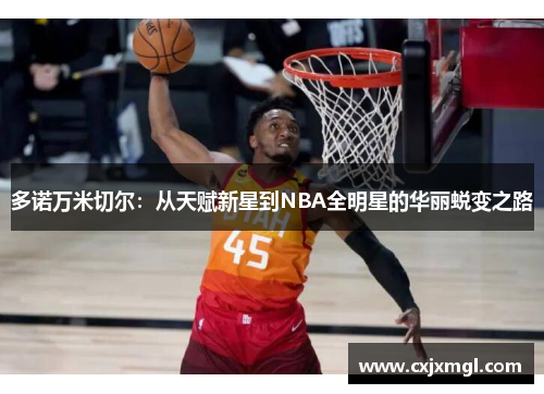 多诺万米切尔：从天赋新星到NBA全明星的华丽蜕变之路