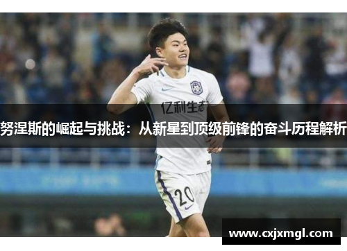努涅斯的崛起与挑战：从新星到顶级前锋的奋斗历程解析